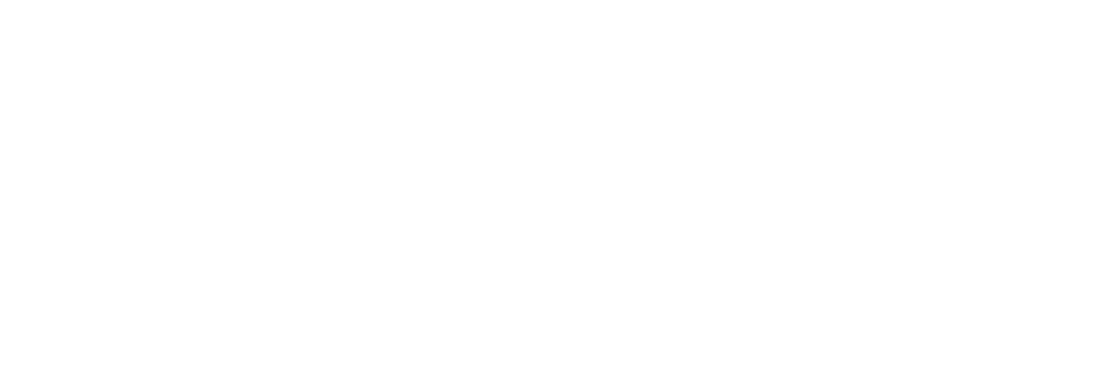 LVLX